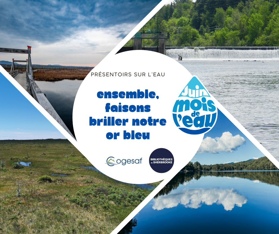 Présentoir sur l'eau dans les bibliothèques de Sherbrooke