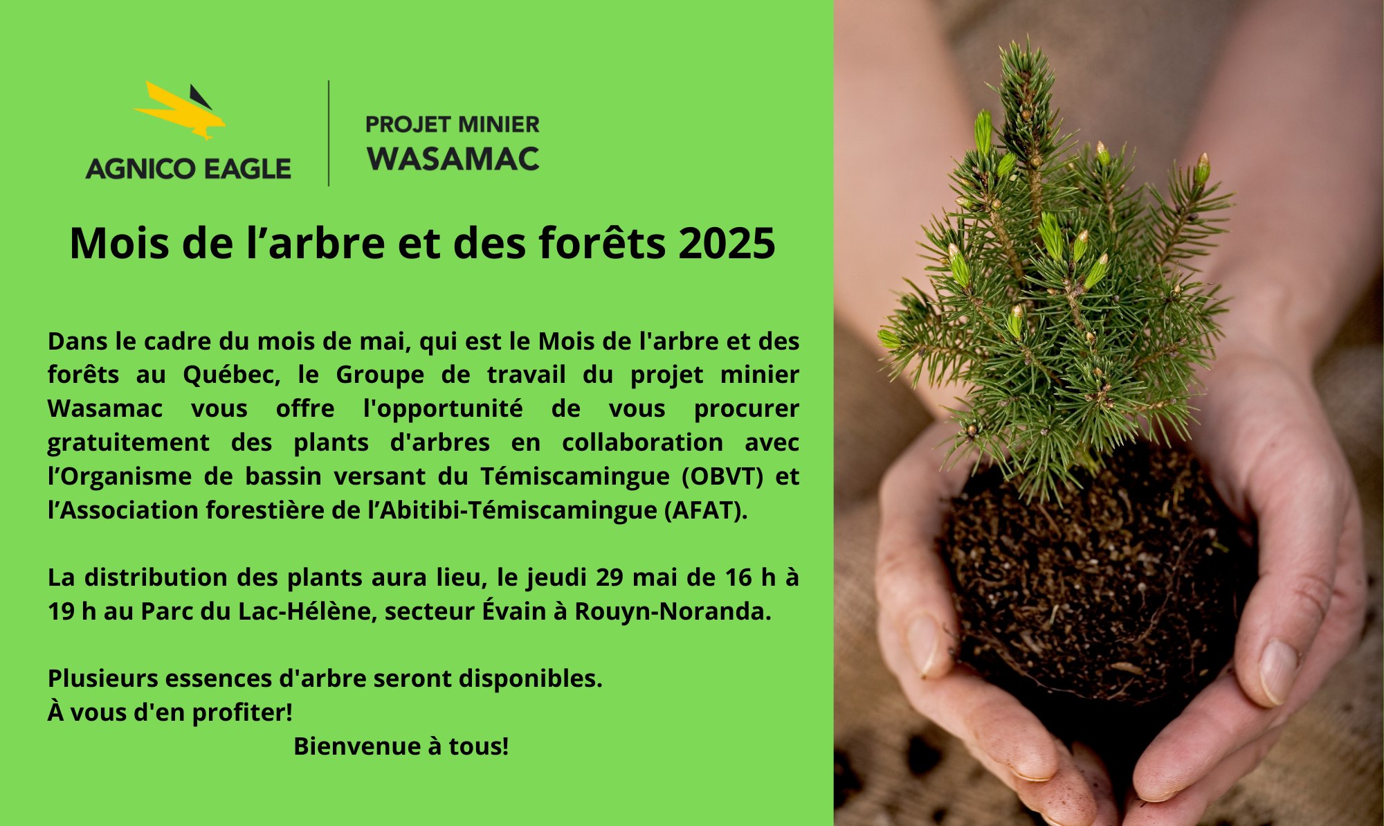 Distribution d’arbres à Rouyn-Noranda