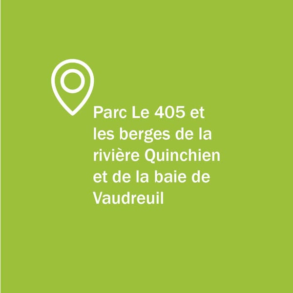 Nettoyage des berges - Rivière Quinchien