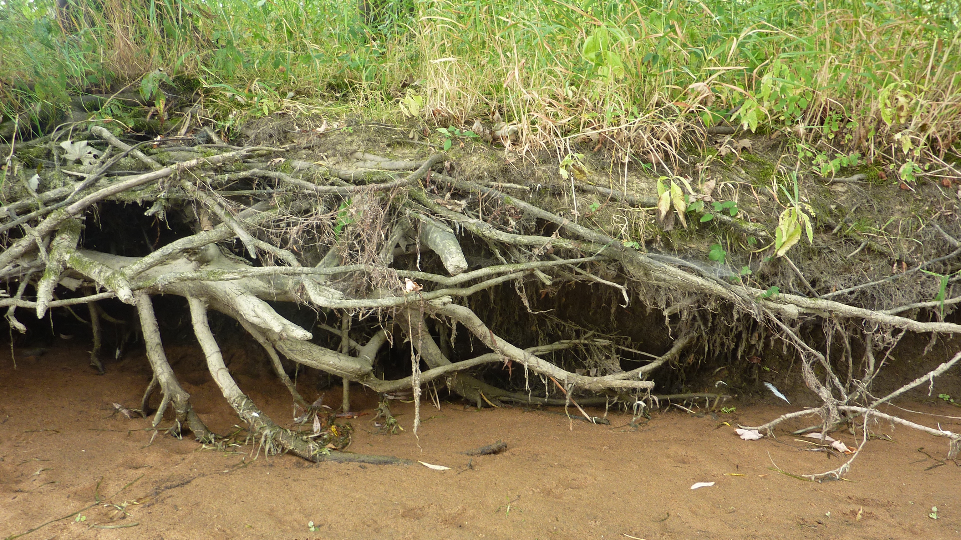 L’eau monte, les berges s’effritent : comment s’adapter aux changements climatiques ?