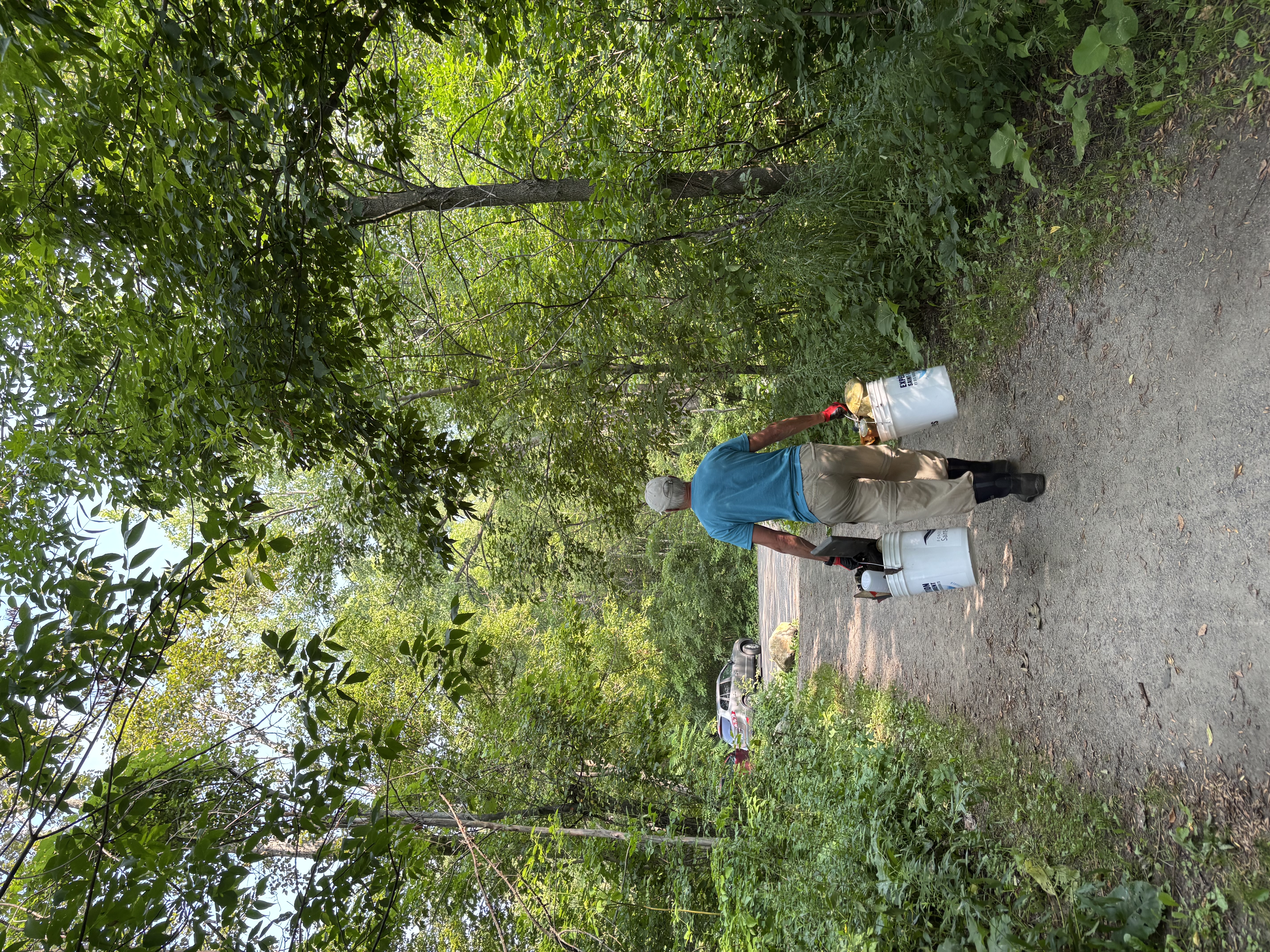 Nettoyage de berge au ruisseau bonhomme