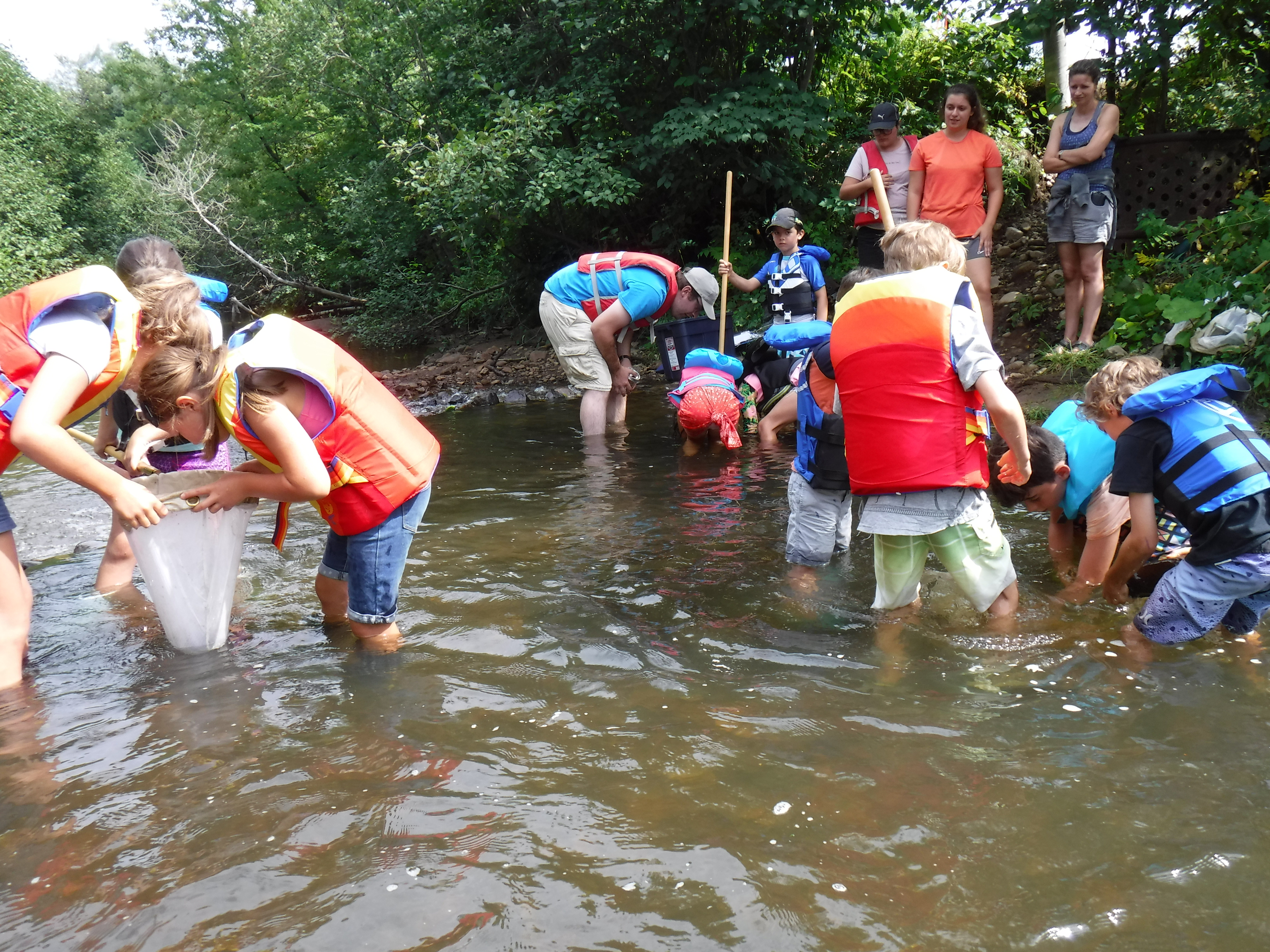 Initiation à l'écologie aquatique