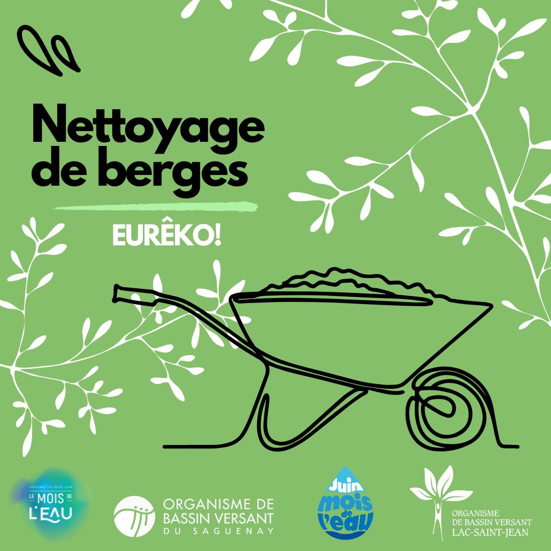 Nettoyage de berges à l'Anse St-Jean