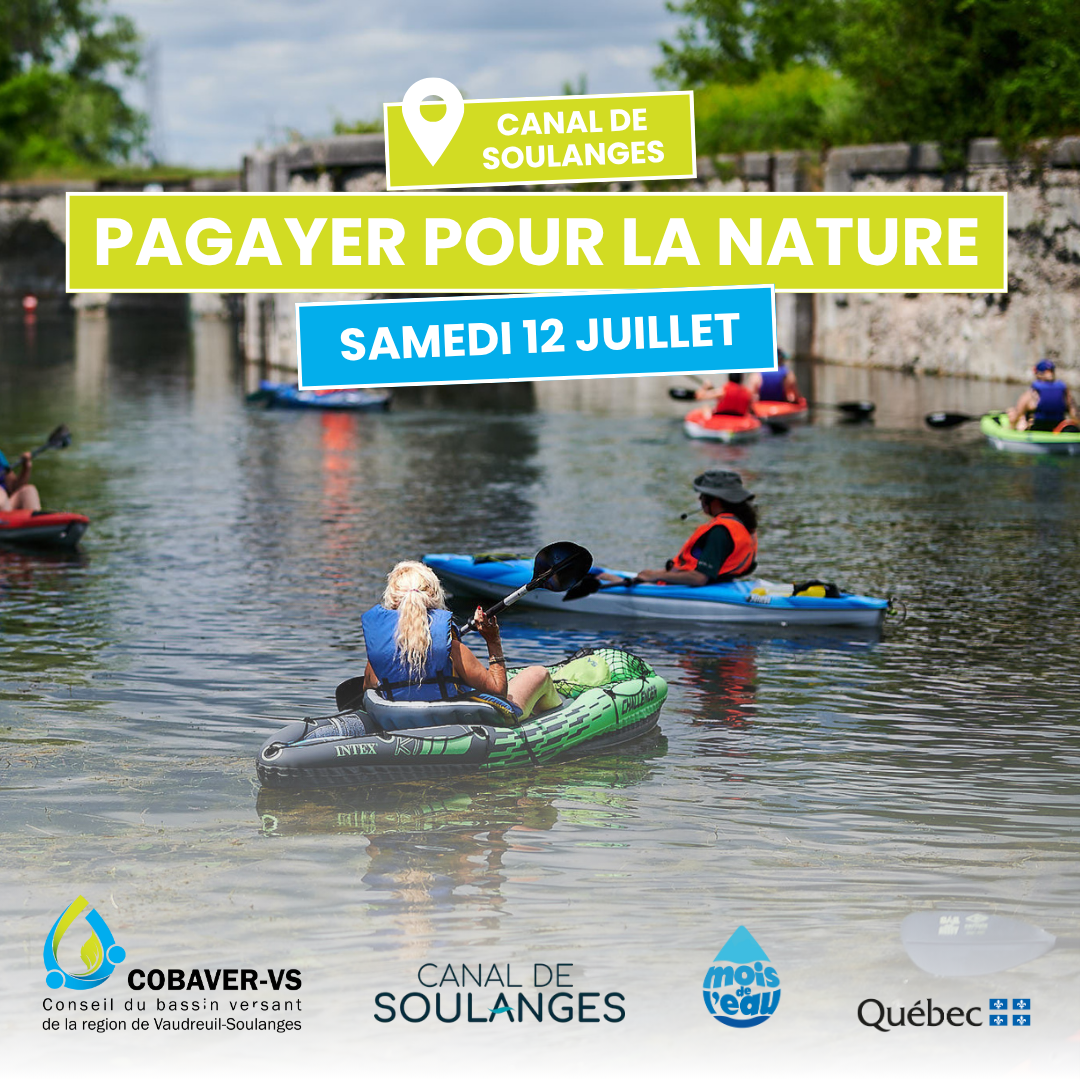 Descente dans le canal : pagayer pour la nature avec le COBAVER-VS à Pointe-des-Cascades