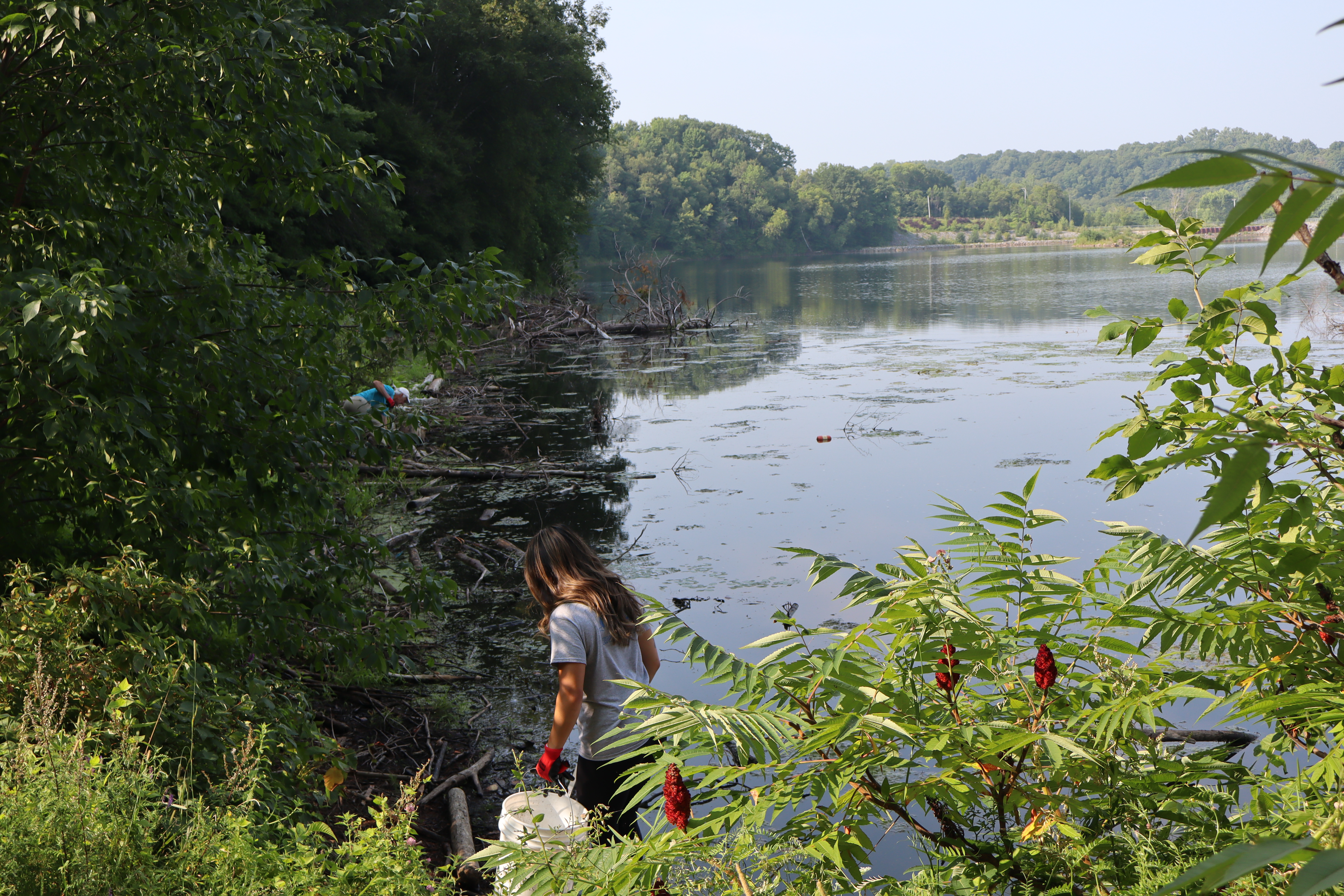 Nettoyage de berges à Cap-santé