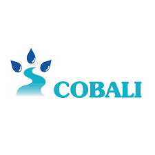 Comité du bassin versant de la rivière du Lièvre (COBALI)