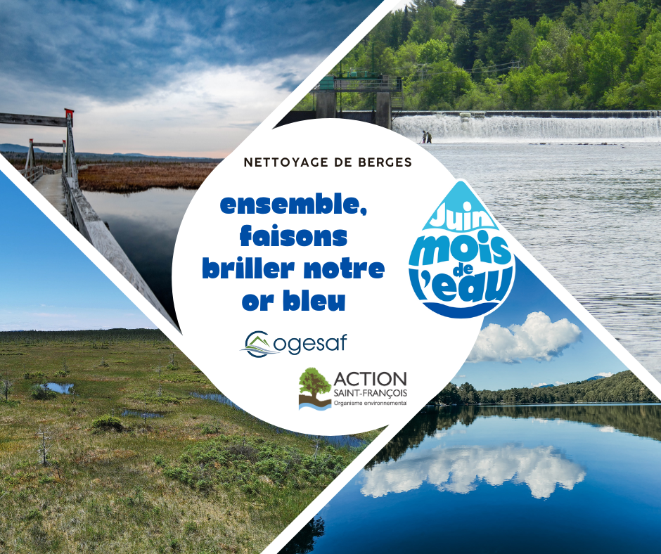 Nettoyage de berges - Rivière Saint-François (Brompton)