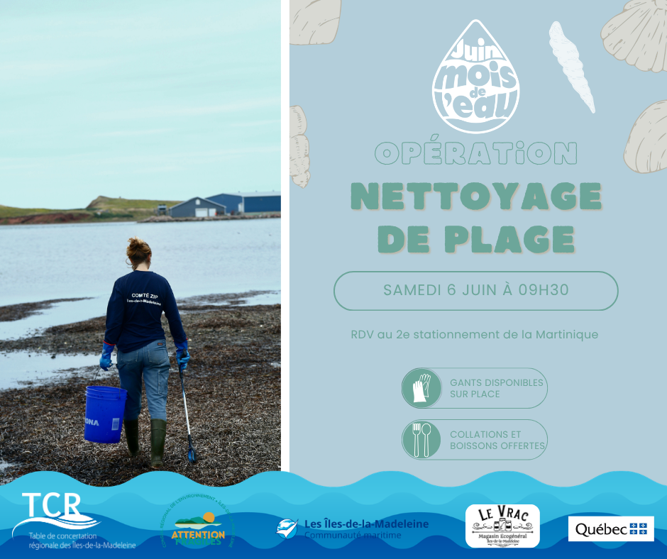 Nettoyage de plage