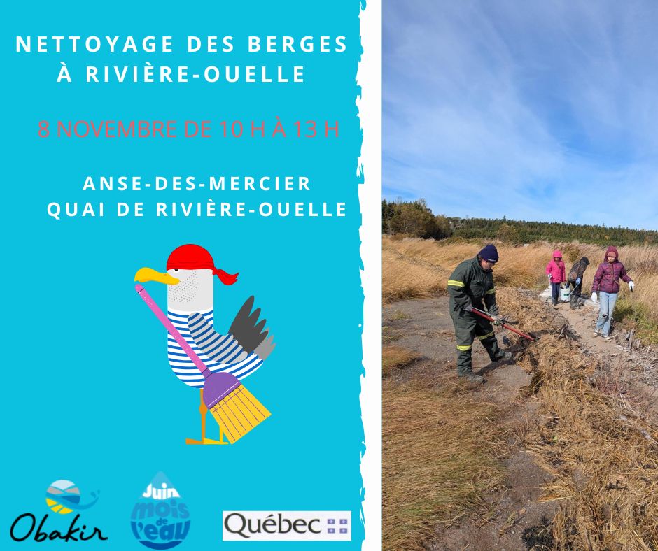 Nettoyage de l'Anse-des-Mercier