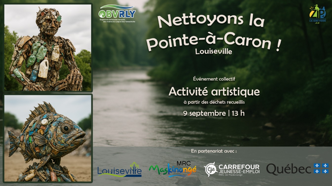 Activité artistique suite au nettoyage de la Pointe-à-Caron de Louiseville