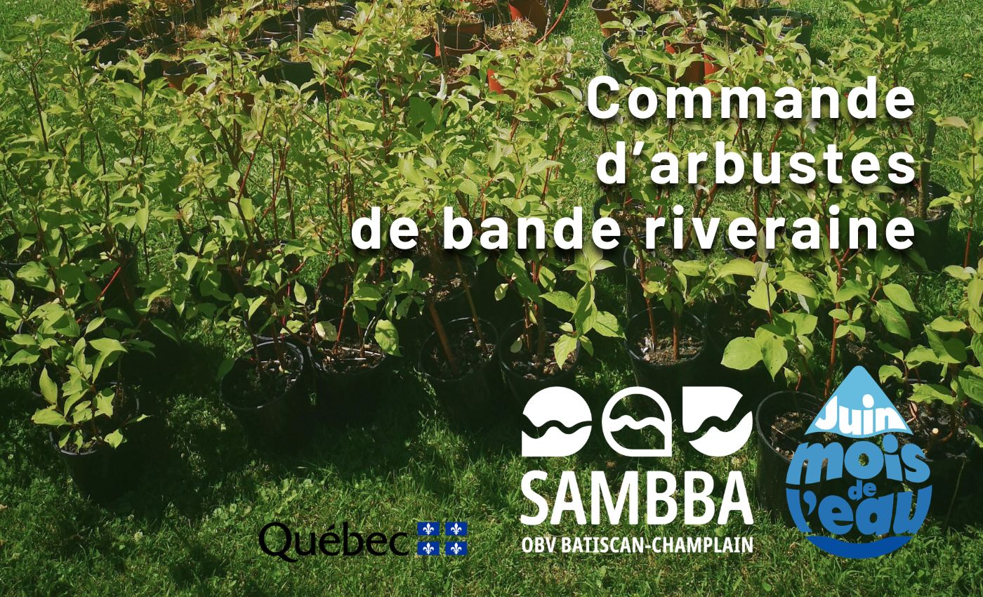 Commande d'arbustes de bande riveraine