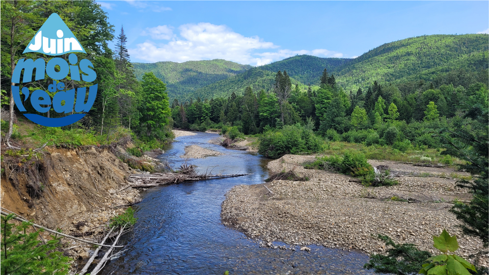 Série de publications interactives en ligne | Agissons pour l'eau et ses écosystèmes!