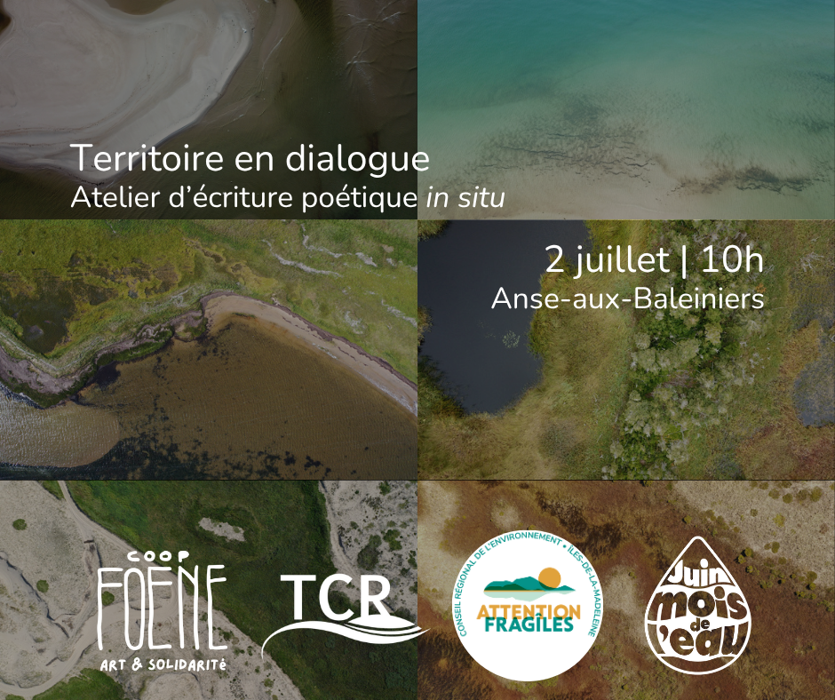 Territoire en dialogue