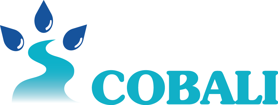Comité du bassin versant de la rivière du Lièvre (COBALI)