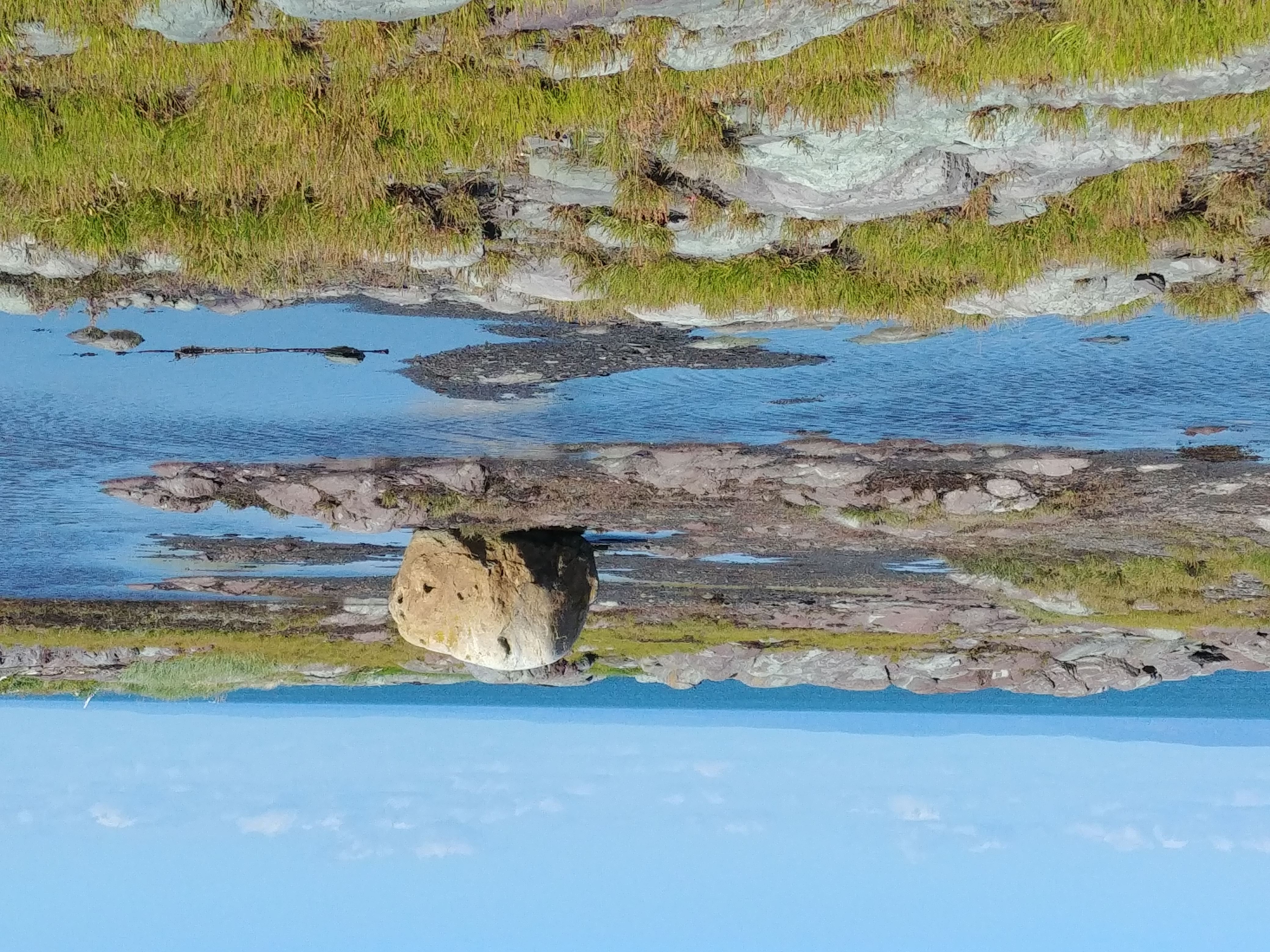 Nettoyage des berges de l'île Verte, à Notre-Dame-des-Sept-Douleurs