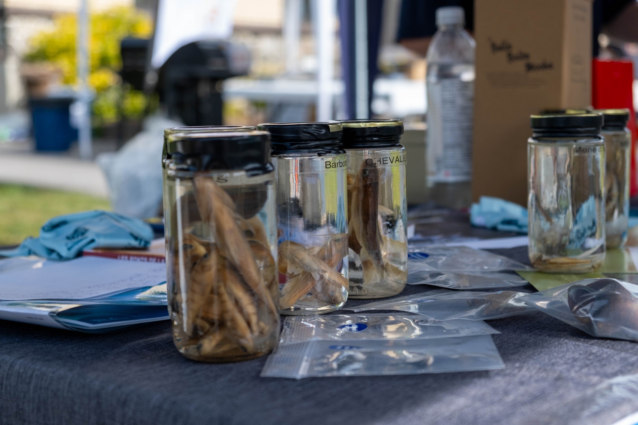 Kiosque à la fête éco familiale de St-Jean-de-Matha