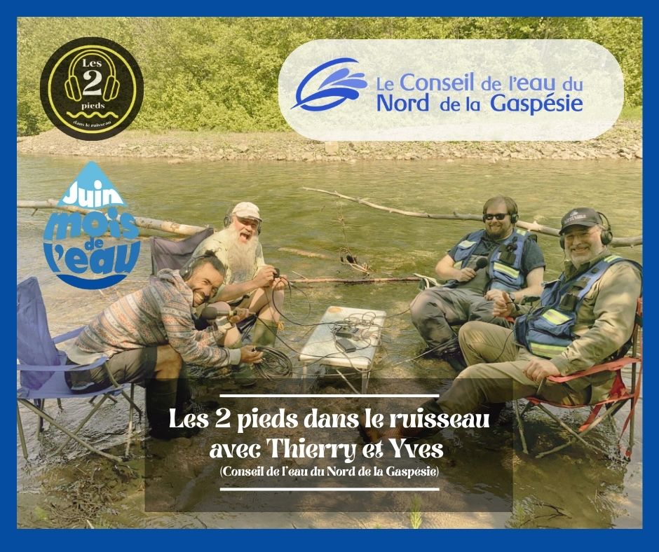 Balad’eau Les 2 pieds dans le ruisseau – édition spéciale du Mois de l’eau au nord de la Gaspésie