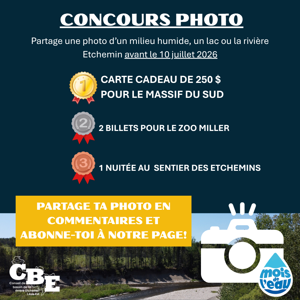 Concours photo - Rivière Etchemin