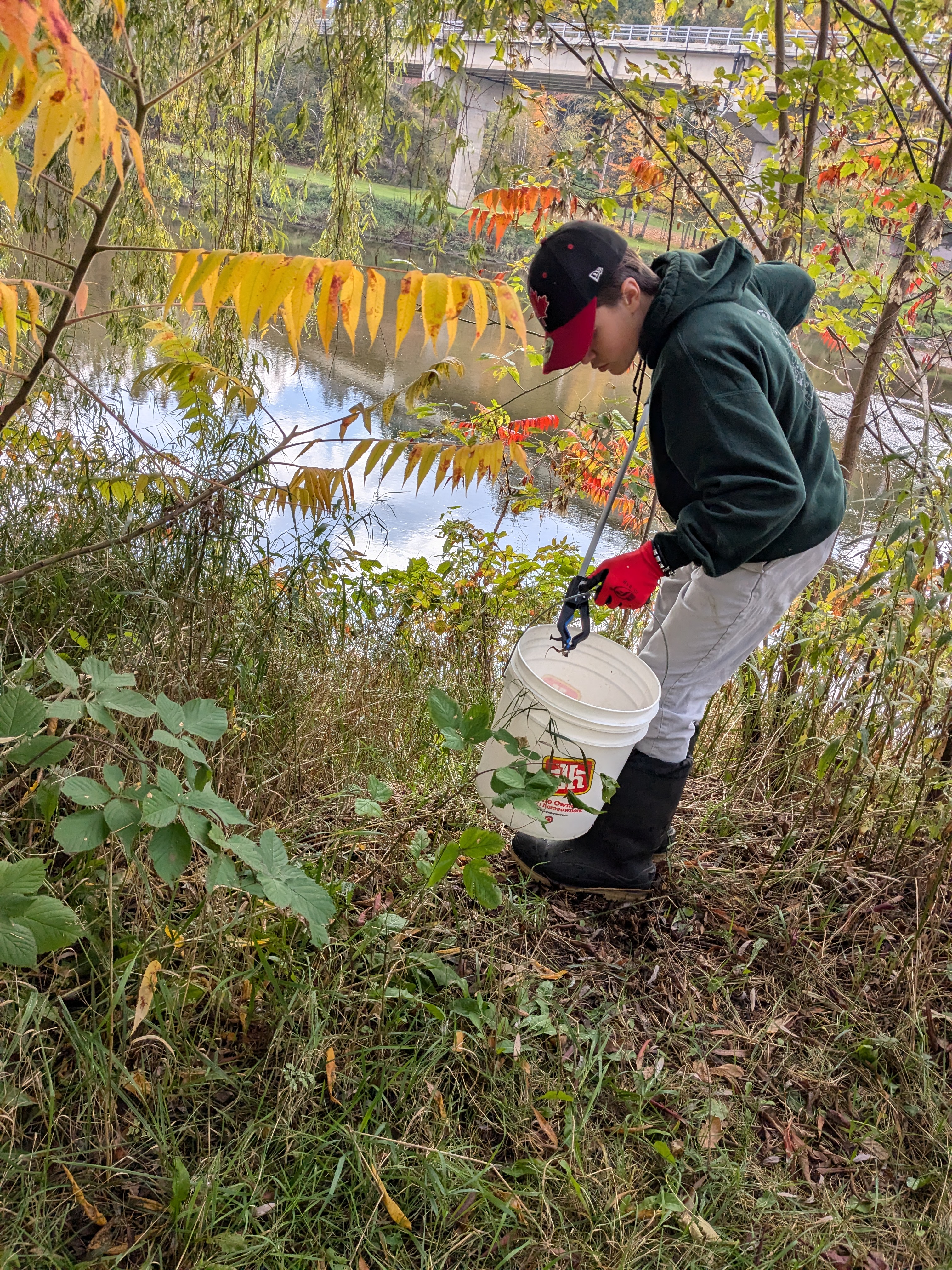 Nettoyage du parc Martinet à Thetford